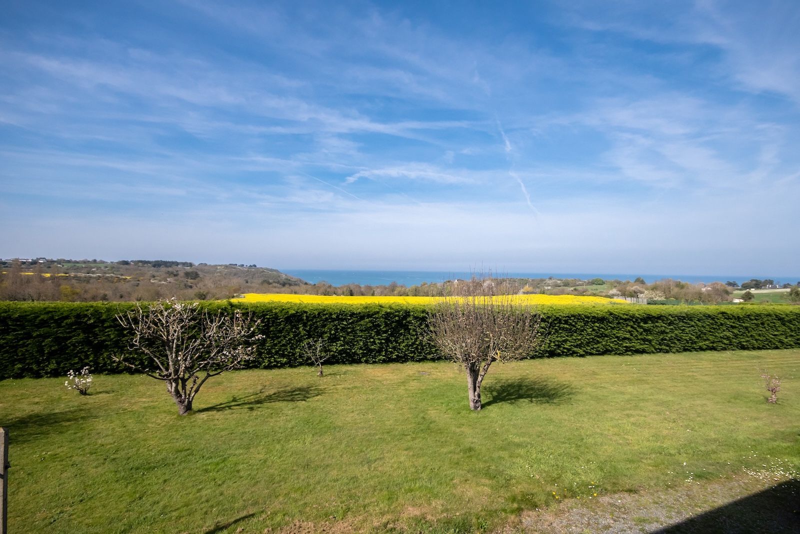 Salon : détail ambiance cosy